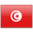 
                Tunisia Visa
                