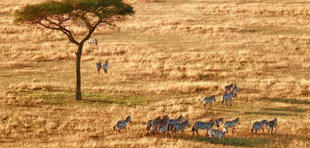 Visa requirements for United Kingdom passport holders traveling to Tanzania